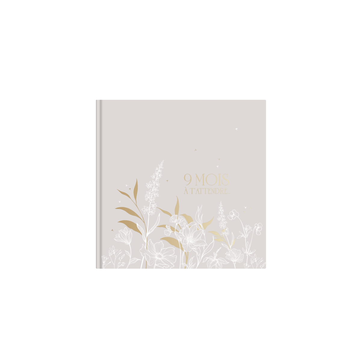 Journal de grossesse