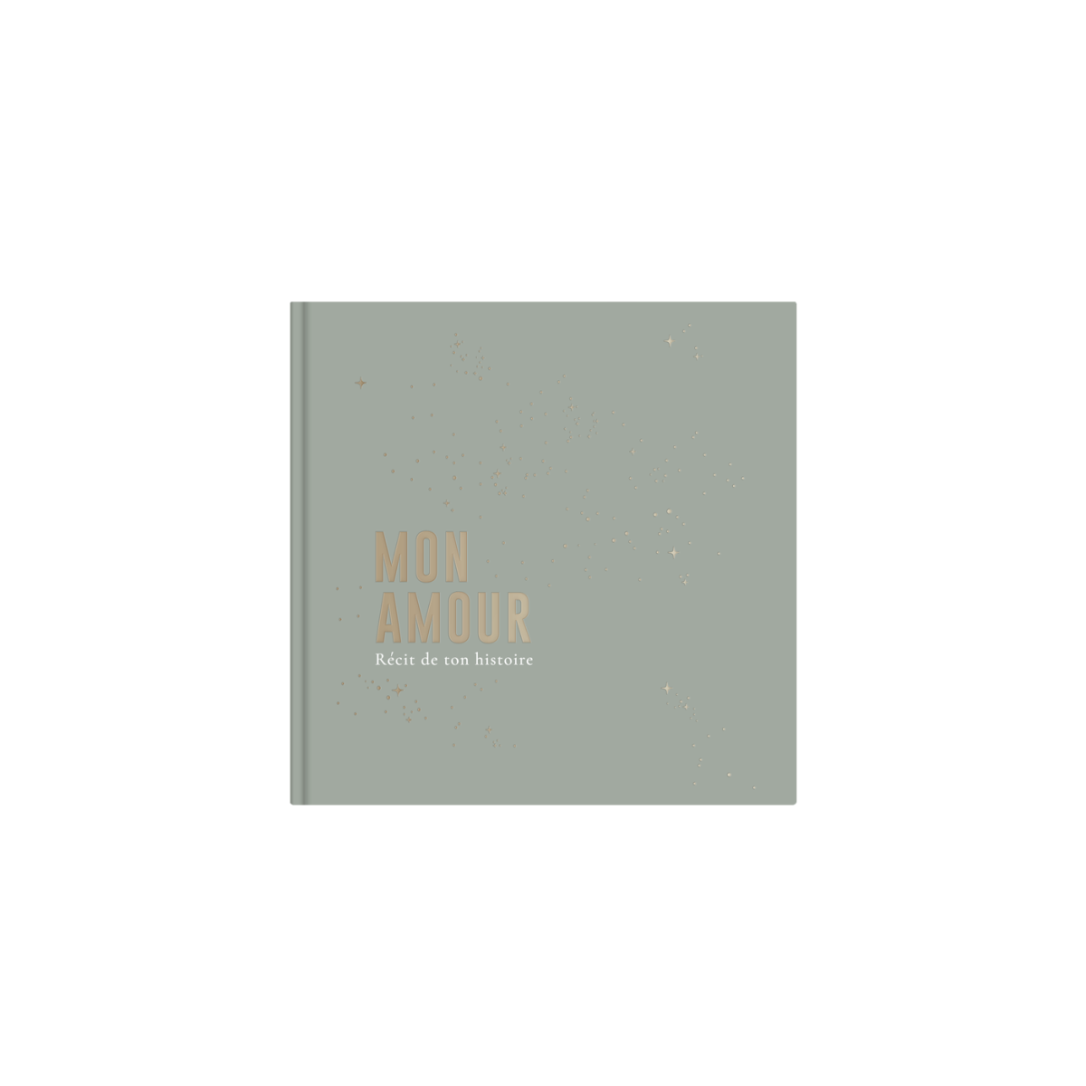 Livre de naissance "Céleste"