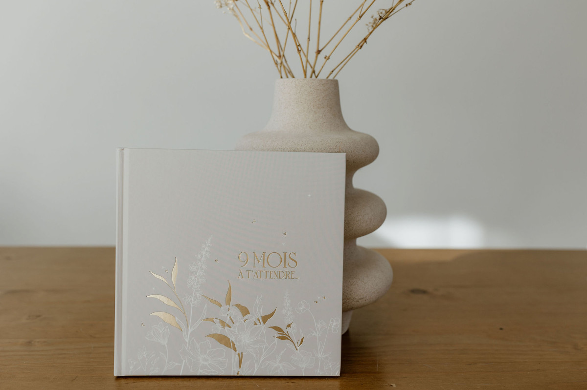 Pregnancy book - french