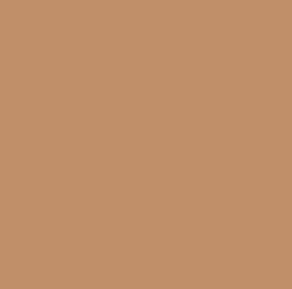 grignoteuse caramel